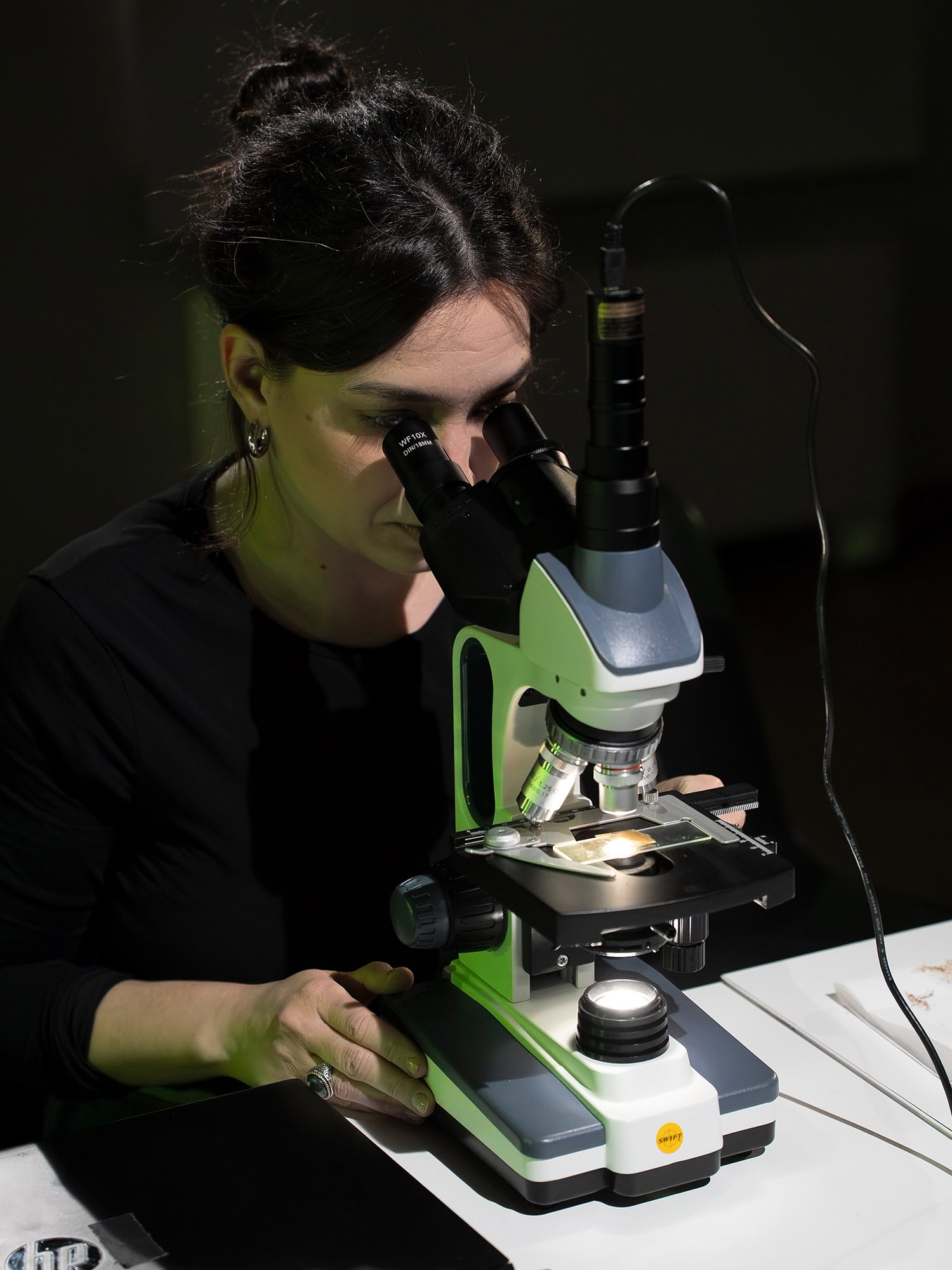 Foto © 2026 Alice BL Durigatto