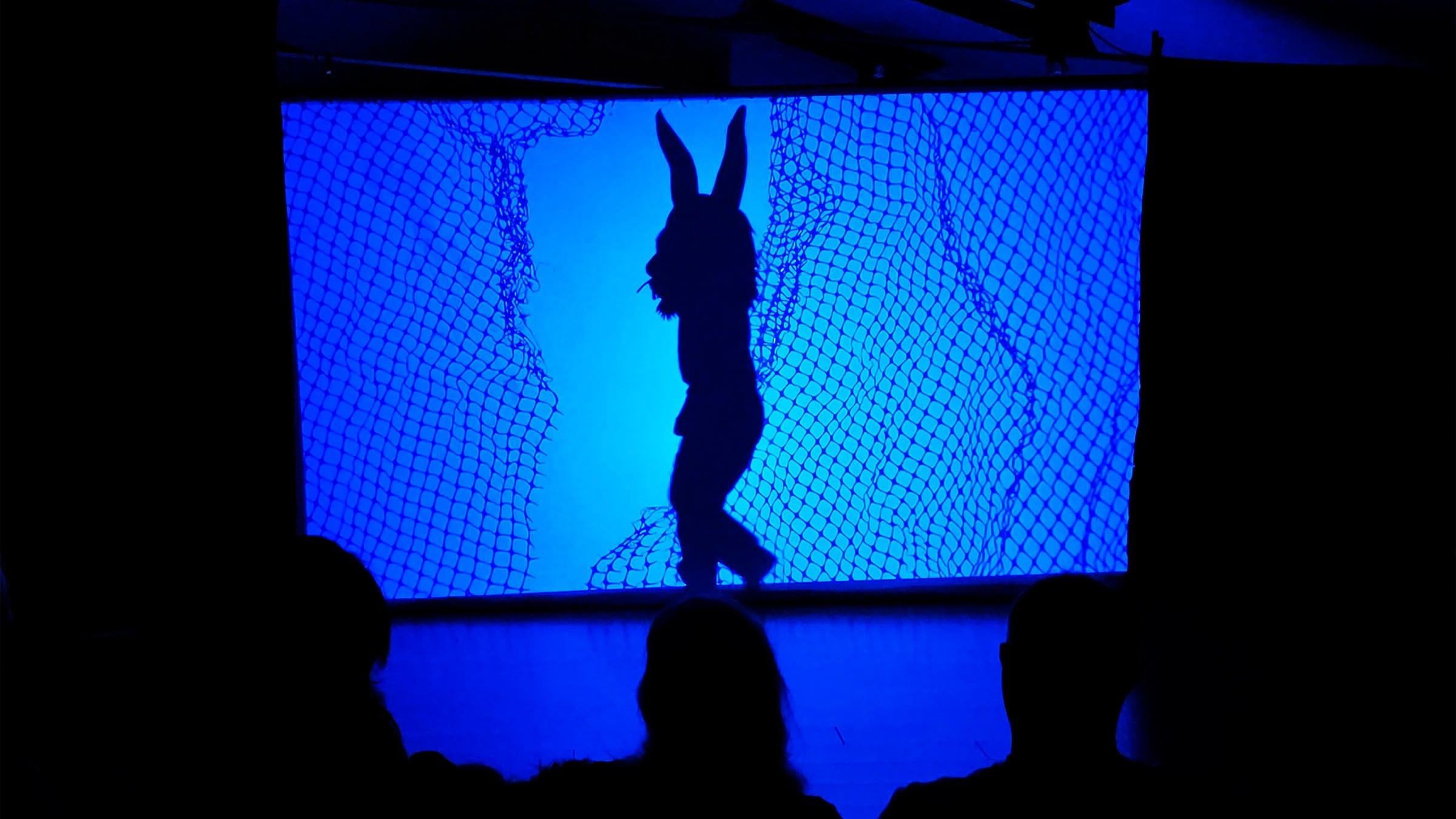 CeRAP-Bloommotion!-16-9