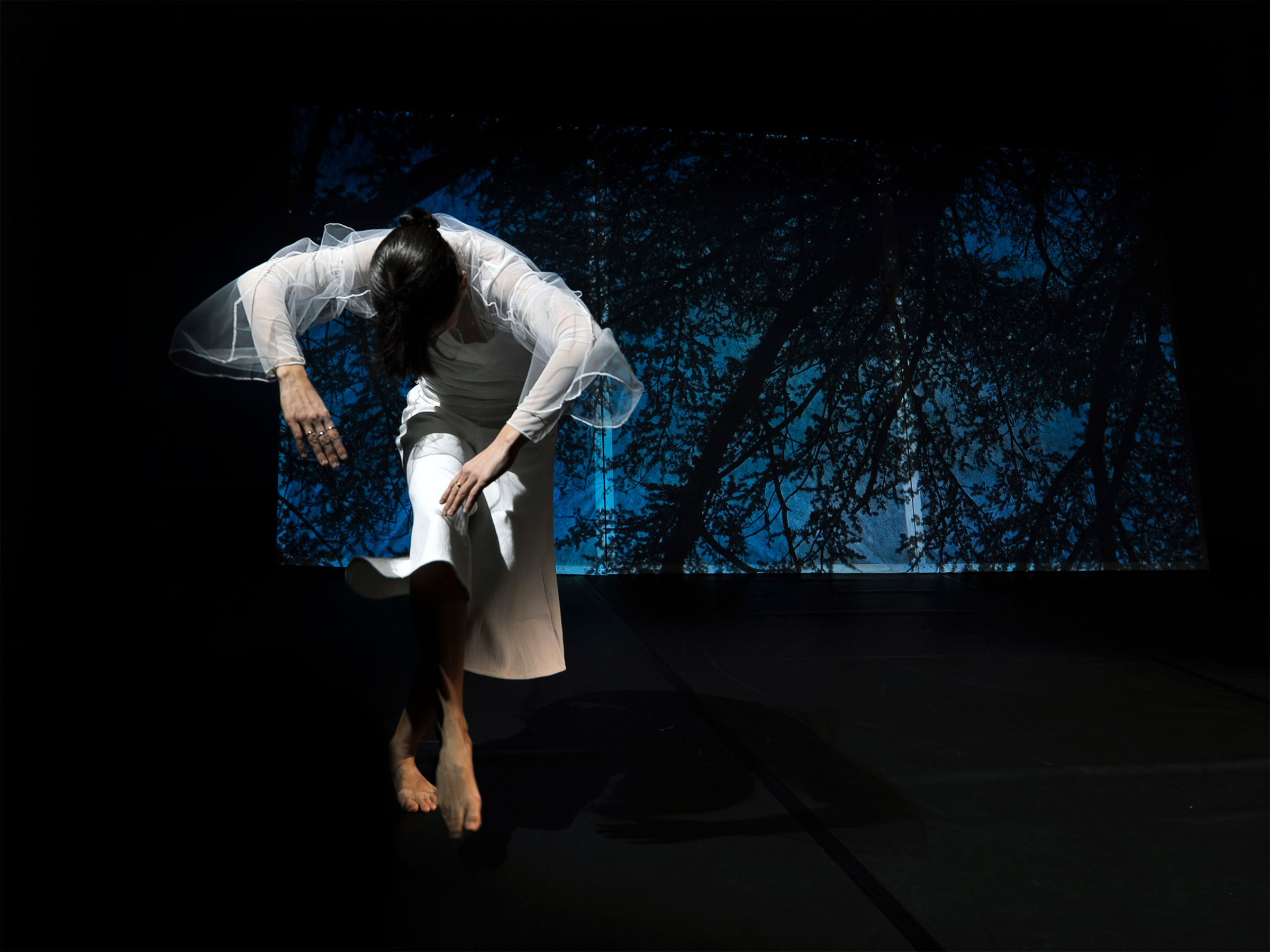 CeRAP-Camilla-Isola-1-4-3