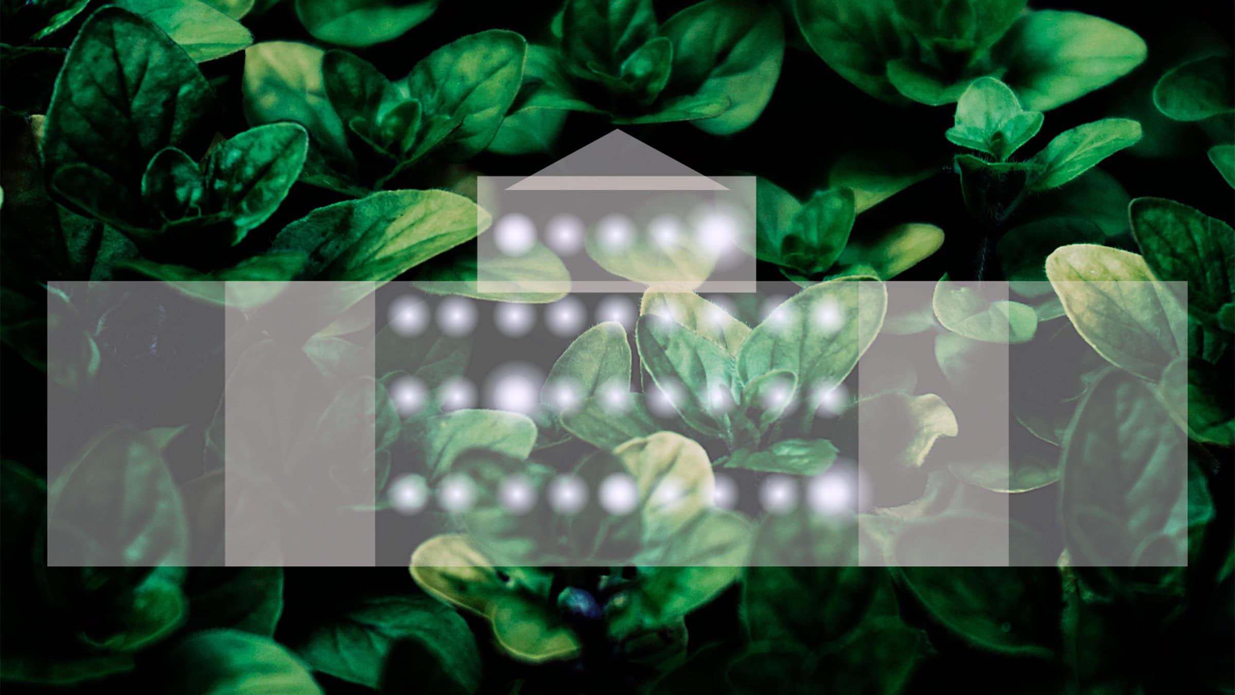 CeRAP-Il-Parco-Abbraccia-La-Villa-Mattotti-16-9